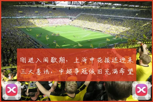 刚进入间歇期，上海申花接连迎来三大喜讯，中超争冠依旧充满希望_中场_防守型_李可
