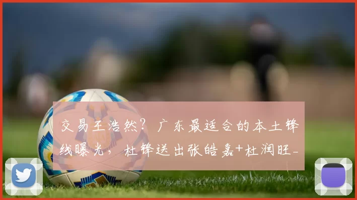 交易王浩然?广东最适合的本土锋线曝光,杜锋送出张皓嘉+杜润旺_山西_深圳_1