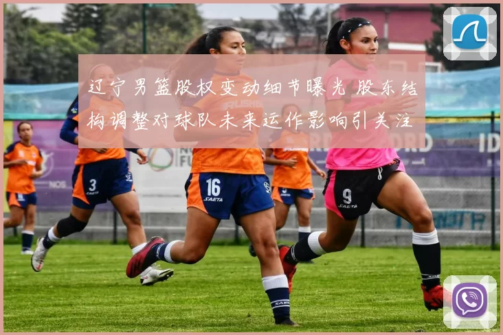 辽宁男篮股权变动细节曝光 股东结构调整对球队未来运作影响引关注