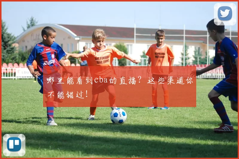 哪里能看到cba的直播？这些渠道你不能错过！