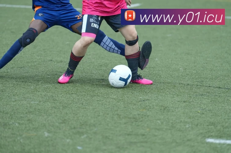 九游网页版登录入口 - 九游(中国)全站App